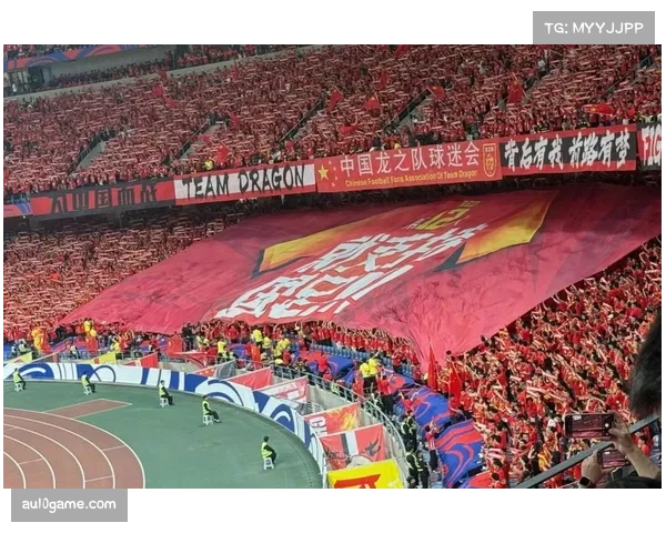 每年1.5至2亿欧元专项基金：足协呼吁税收减免支持球场建设